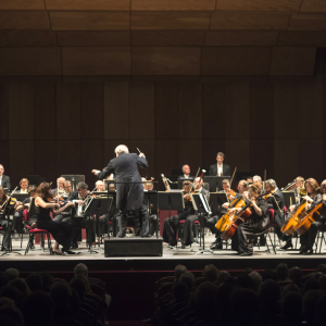 Concert : Strauss, Schumann (nov 2014) © Opéra de Nice