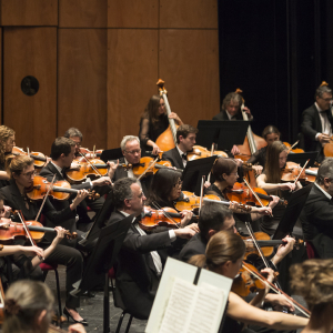 Concert avec Philippe Bianconi, direction Michal Nesterowicz (jan 2016) © Opéra de Nice