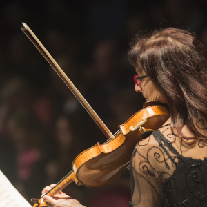 Concert : Strauss, Schumann (nov 2014) © Opéra de Nice