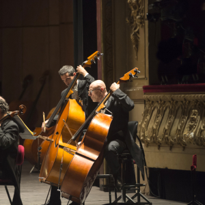 Concert : Strauss, Schumann (nov 2014) © Opéra de Nice