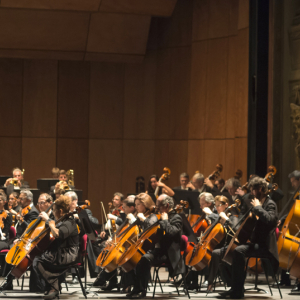 Concert : Strauss, Schumann (nov 2014) © Opéra de Nice
