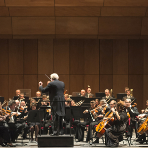 Concert : Strauss, Schumann (nov 2014) © Opéra de Nice